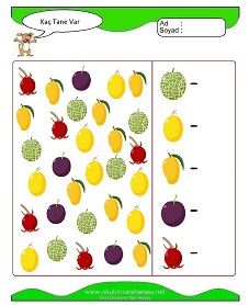 Kaç Tane Var Çalışma Sayfaları